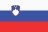 Slovenia U19